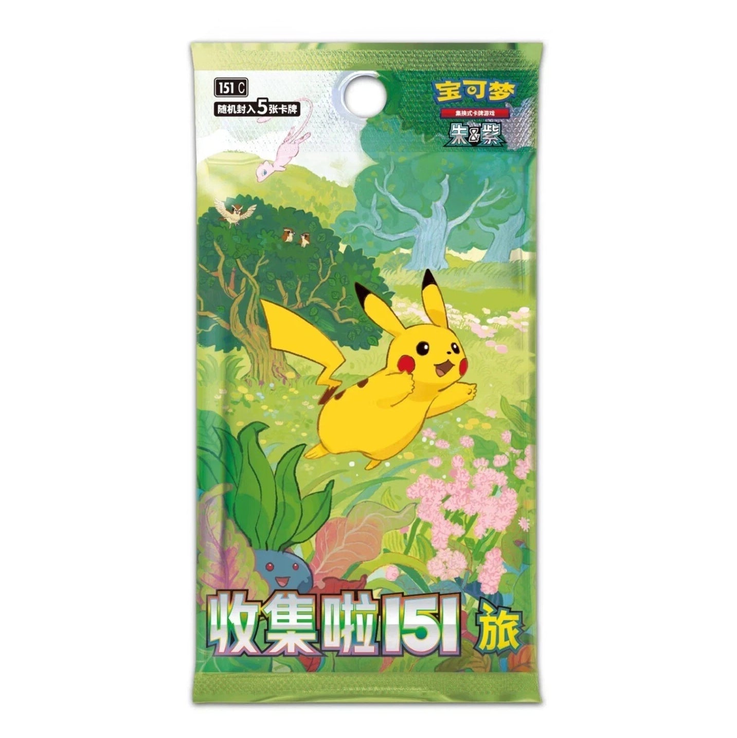 Simplified Chinese 151 Magnet